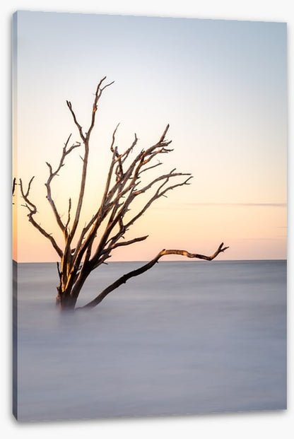 The skeleton tree