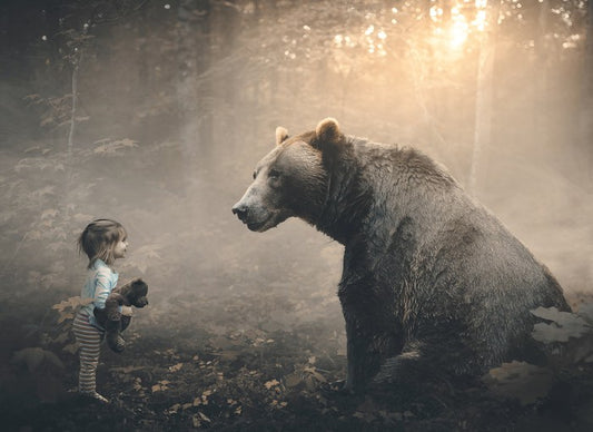 Teddy meets bear