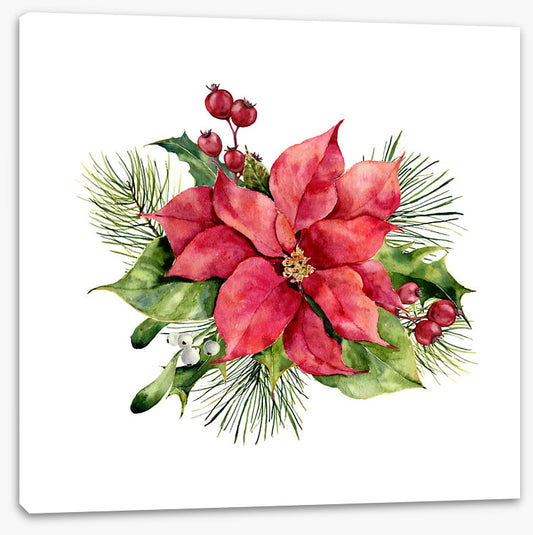 Red poinsettia