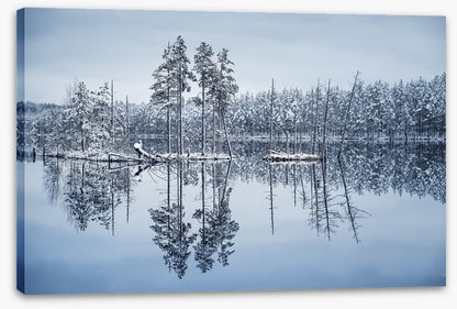 Frozen reflections