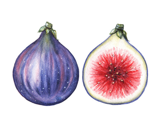 Half past fig