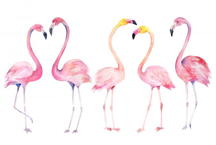 Fifth wheel flamingo