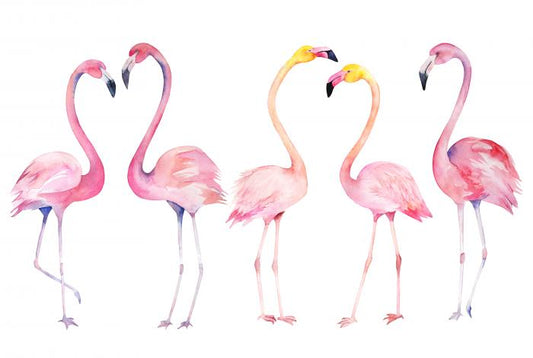 Fifth wheel flamingo