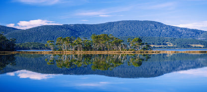Bruny island blues