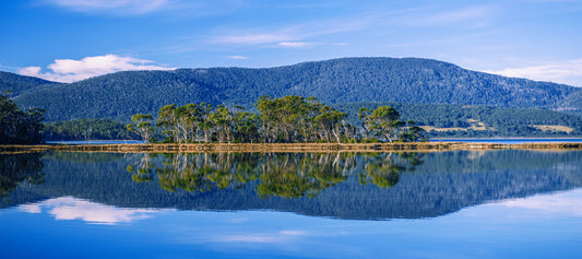 Bruny island blues
