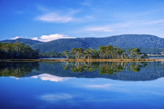 Tasmania