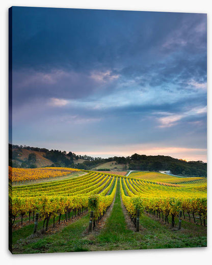 Fruit of the vines