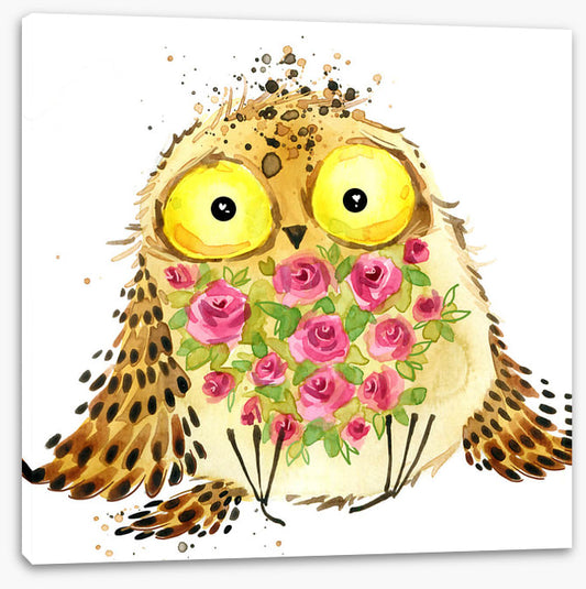 Owls