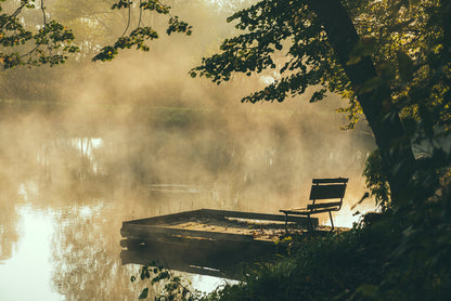Alone at the lake