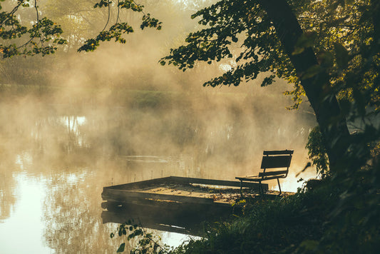 Alone at the lake