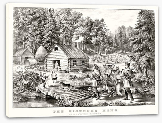 The pioneer's home