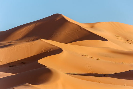 Desert