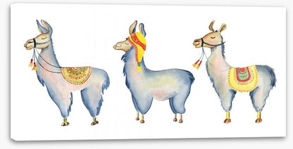 Llama parade