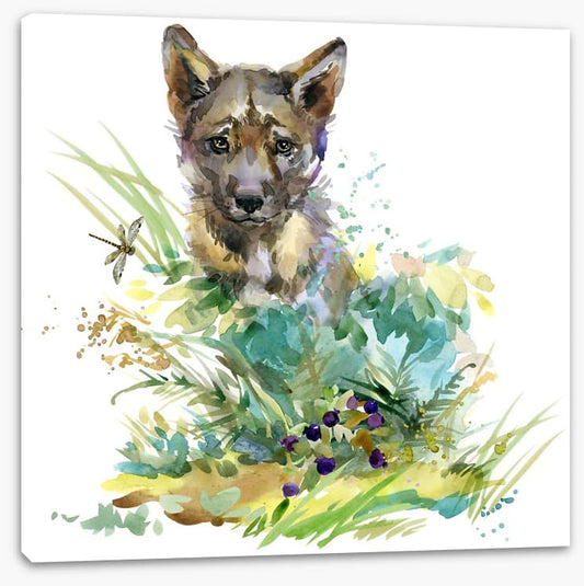 Wolf cub in the grass