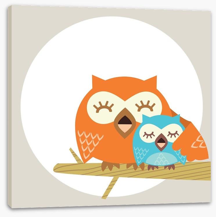Owls