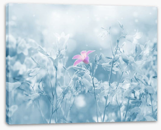 Winter farewell