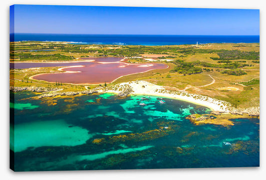 Pink lake shores