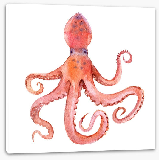 Calamari coming