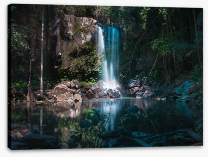 Curtis Falls