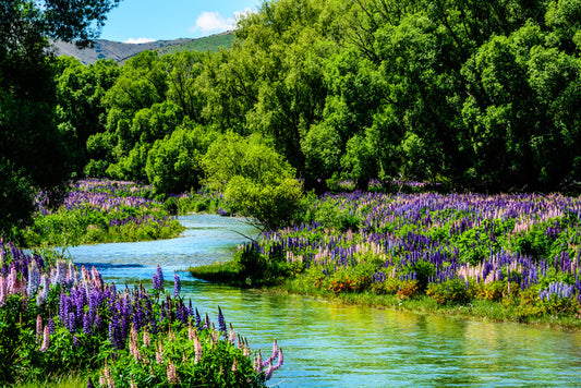 Flowering flow
