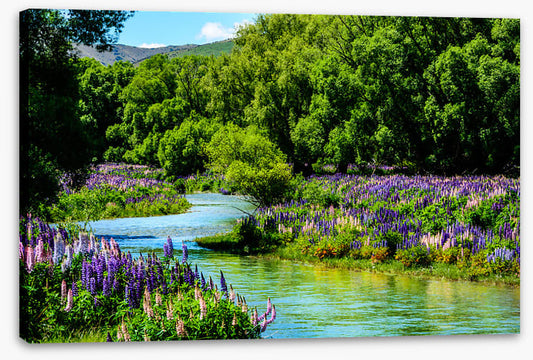Flowering flow