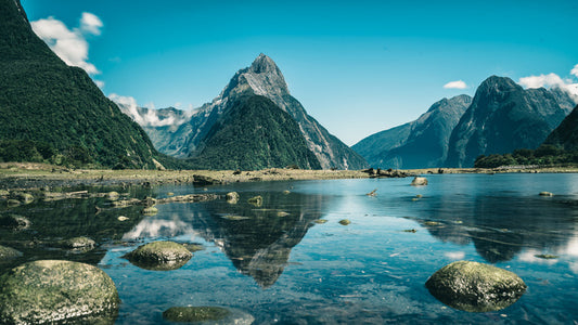 Milford Sound morning