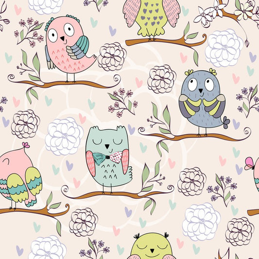 Owls