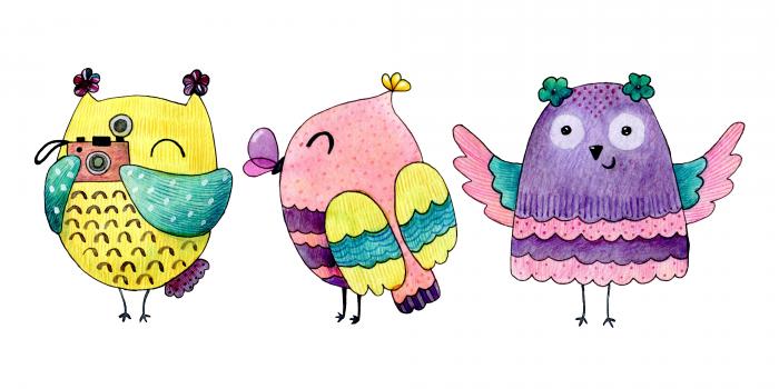 Owls