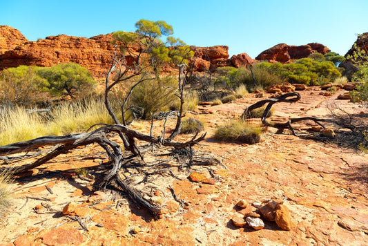 Kings Canyon climb