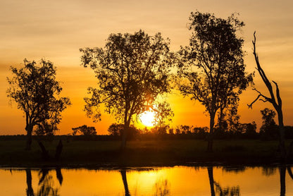 Trees