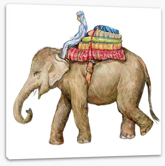 Elephants