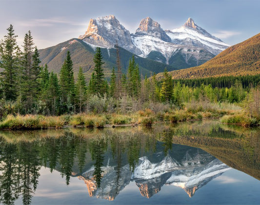 Sisterly reflections