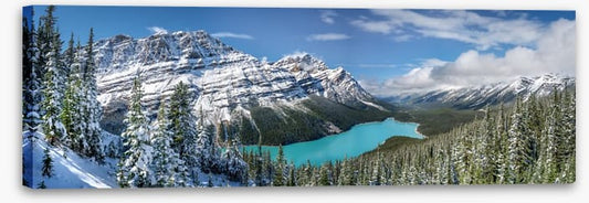 Bow summit snow
