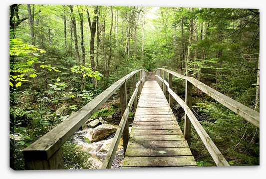 Footbridge to the forest