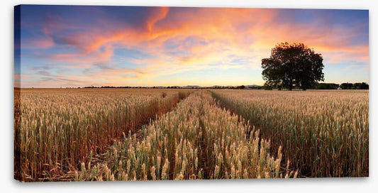 Agriculture