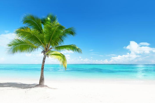 One palm beach
