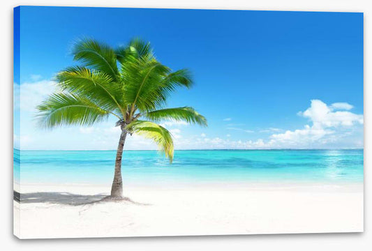 One palm beach