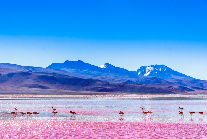 South America