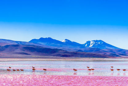 South America