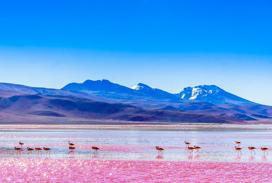 South America
