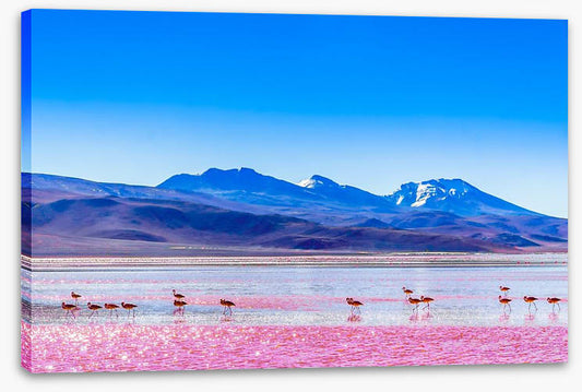 South America