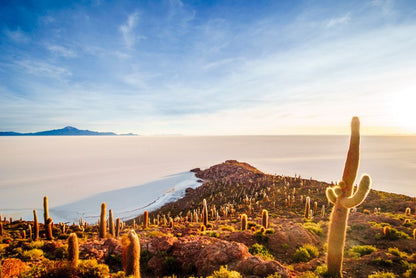 South America