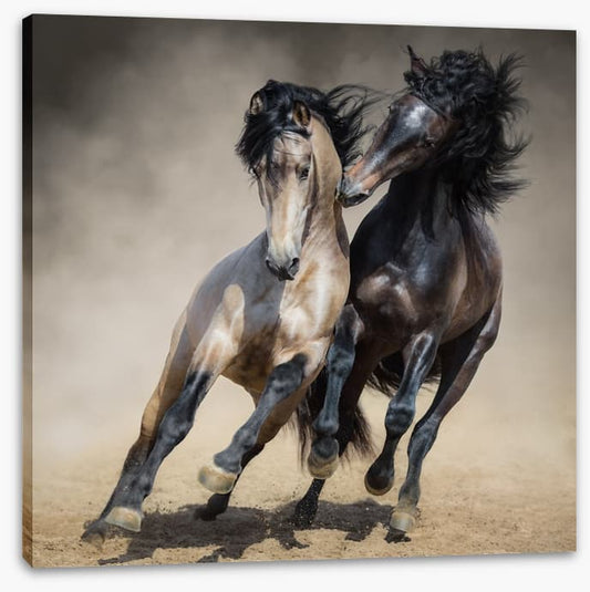 Horseplay