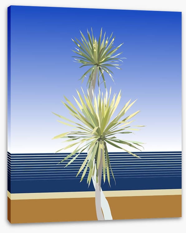 Dracaena duo