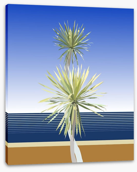 Dracaena duo
