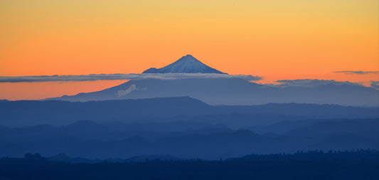 New Zealand