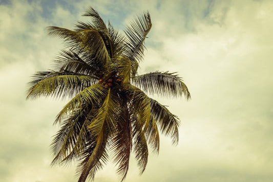 Hurricane warning
