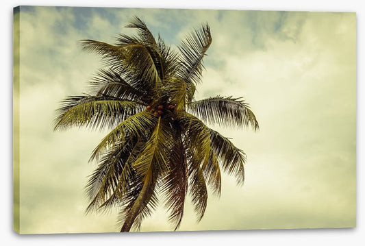 Hurricane warning