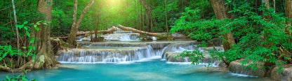 Forest falls panorama