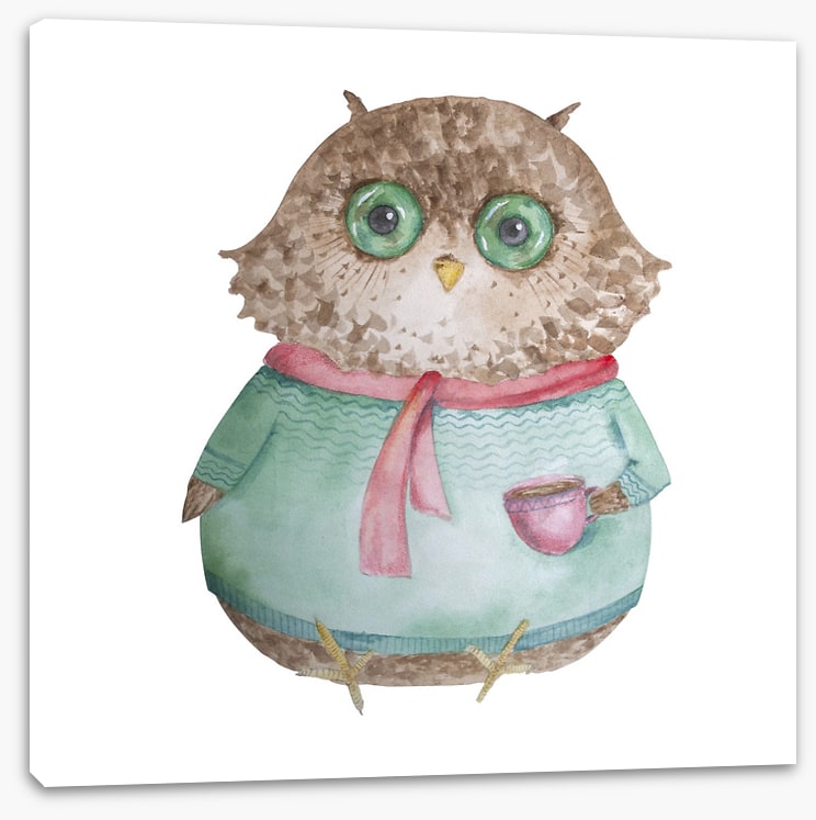 The coffee owl